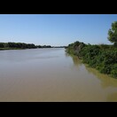Der Adelaide River. Am rechten Ufer etwas unterhalb der Bildmitte das Krokodil